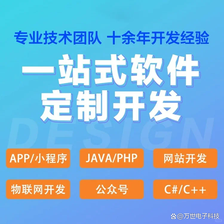东风软件开发